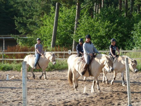 Trailövningar på ridbanan, sommaren 2012. Foto: Christina Engman