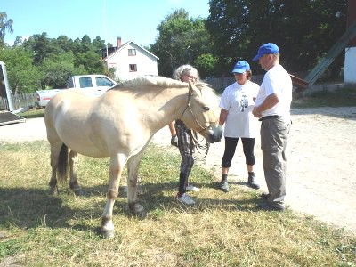 Brago med Jane, Elsa och Ingemar 2014