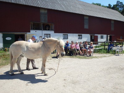 Benjamin på stallbacken, 2014