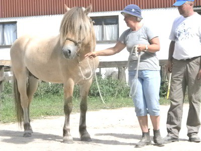 Fricco och Christina får vägledning av Ingemar, 2014