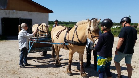 Sindarvedag 27 maj -18